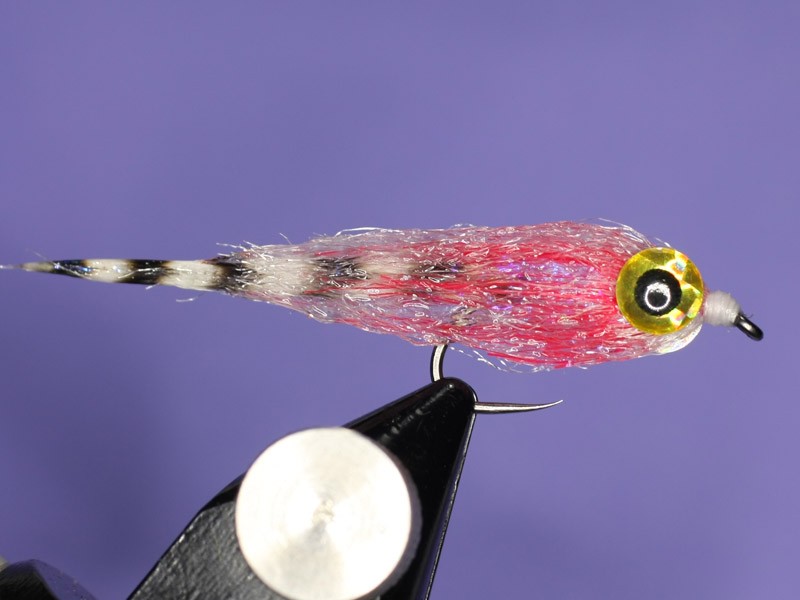 Bloody minnow streamer fly How to tie fly, Fly tying Step by Step